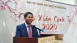 xuan que huong 2020 don so kieu bao dong ky luc ve tham du