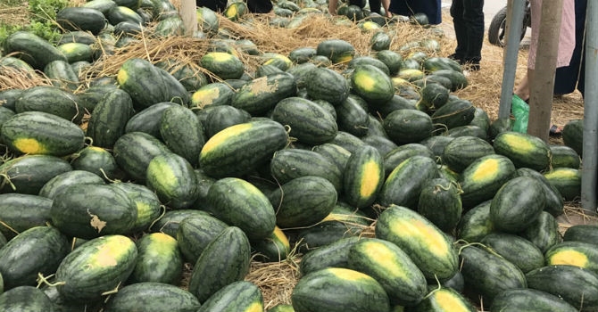 dai su qatar tai viet nam giai cuu dua hau giup nguoi dan mien trung truoc dai dich corona