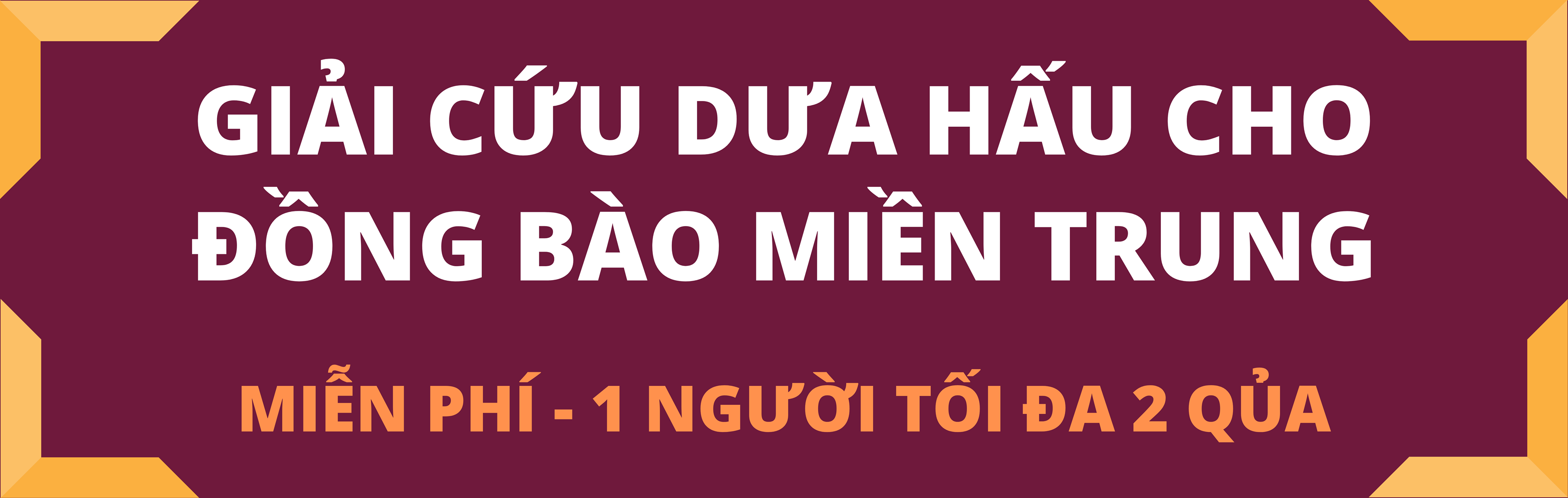 dai su qatar tai viet nam giai cuu dua hau giup nguoi dan mien trung truoc dai dich corona