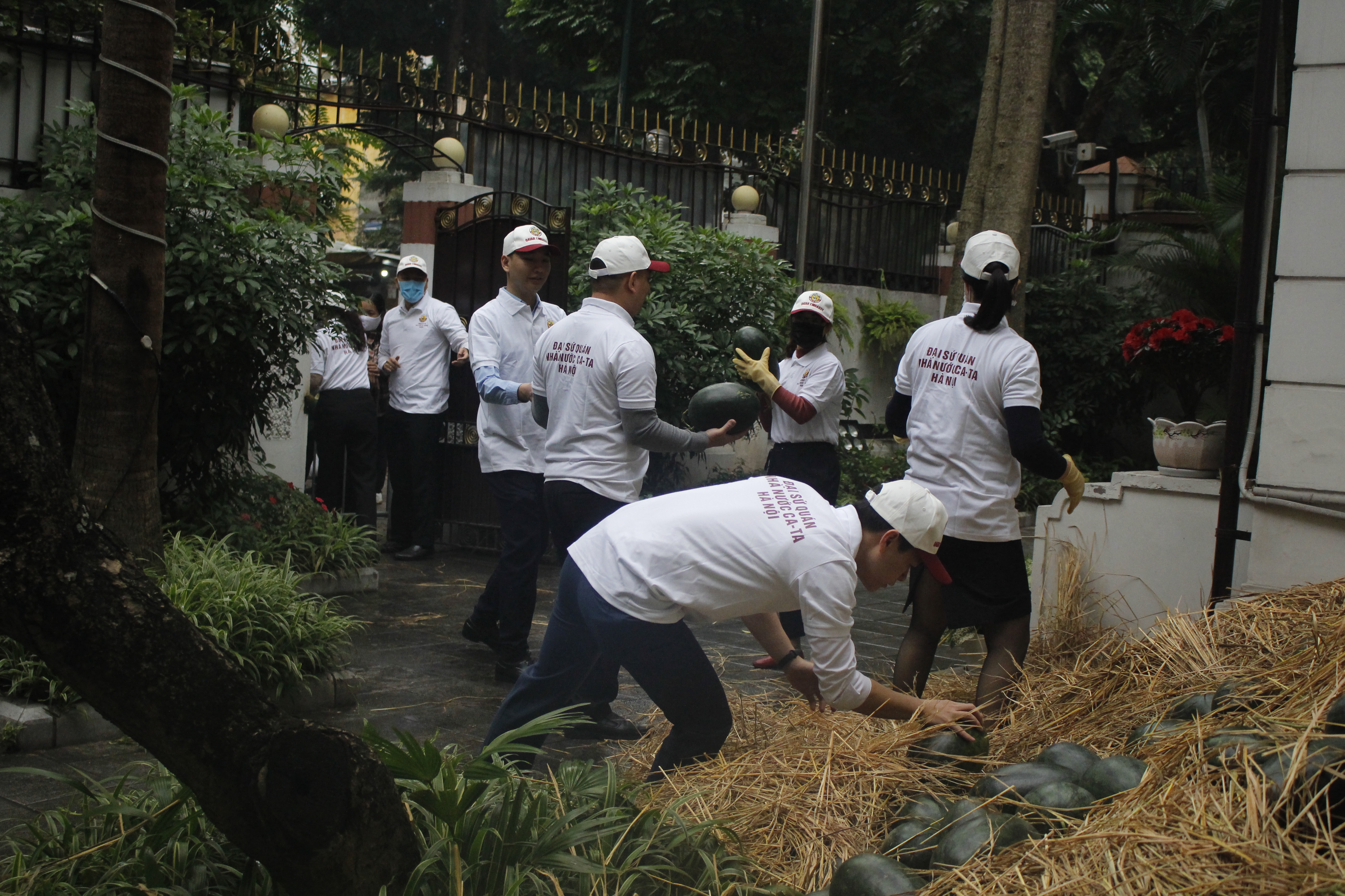 dai su quan qatar tai viet nam phat mien phi 4 tan dua hau giup ba con mien trung