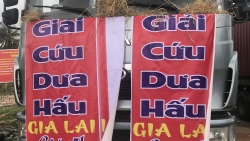 seed to table giup ben tre trien khai mo hinh nong nghiep huu co