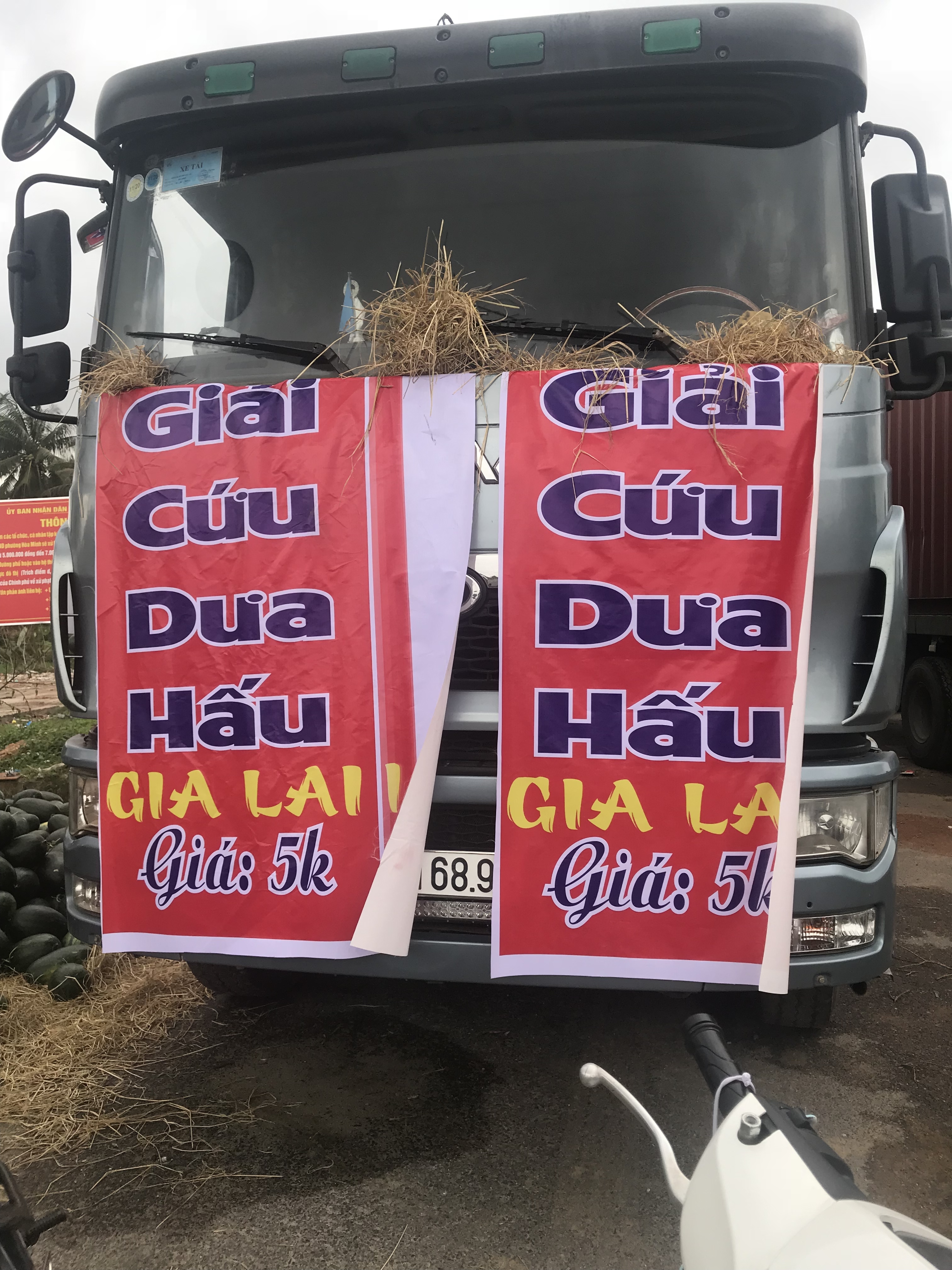 Doanh nghiệp Hàn Quốc mở chiến dịch giải cứu nông sản Việt Nam doanh nghiep han quoc chung tay giai cuu nong san giup viet nam khac phuc dai dich covid 19