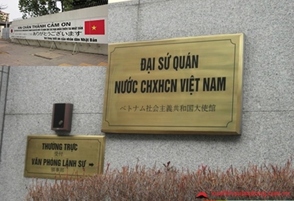 Đại sứ quán Việt Nam tại Nhật Bản lập đường dây nóng trước COVID-19 dai su quan viet nam tai nhat ban lap duong day nong truoc covid 19