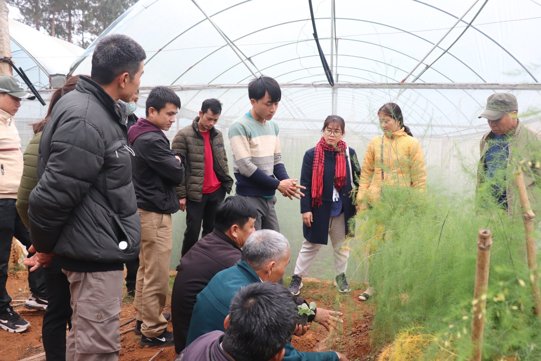 GNI giúp người dân Mường Pa (Hòa Bình) phát triển mô hình rau an toàn gni giup nguoi dan muong pa hoa binh phat trien mo hinh rau an toan