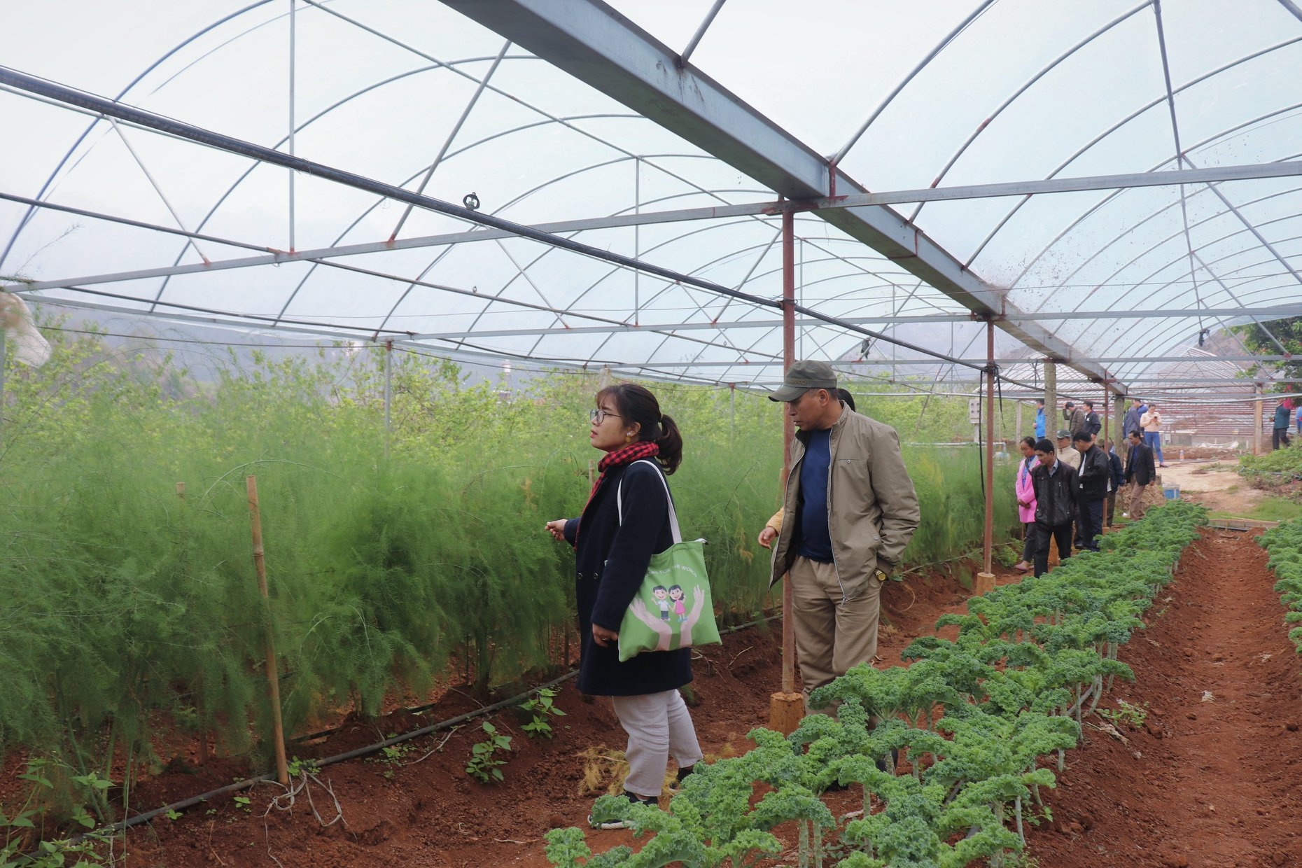 GNI giúp người dân Mường Pa (Hòa Bình) phát triển mô hình rau an toàn gni giup nguoi dan muong pa hoa binh phat trien mo hinh rau an toan