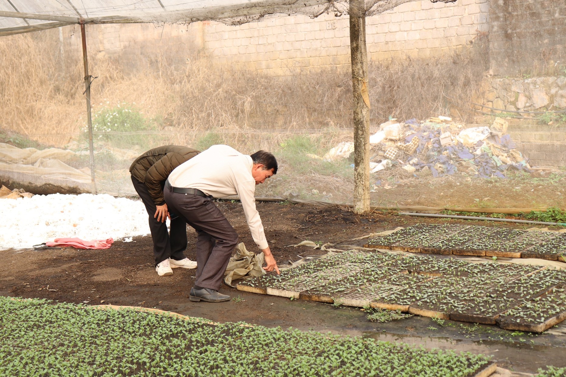 GNI giúp người dân Mường Pa (Hòa Bình) phát triển mô hình rau an toàn gni giup nguoi dan muong pa hoa binh phat trien mo hinh rau an toan