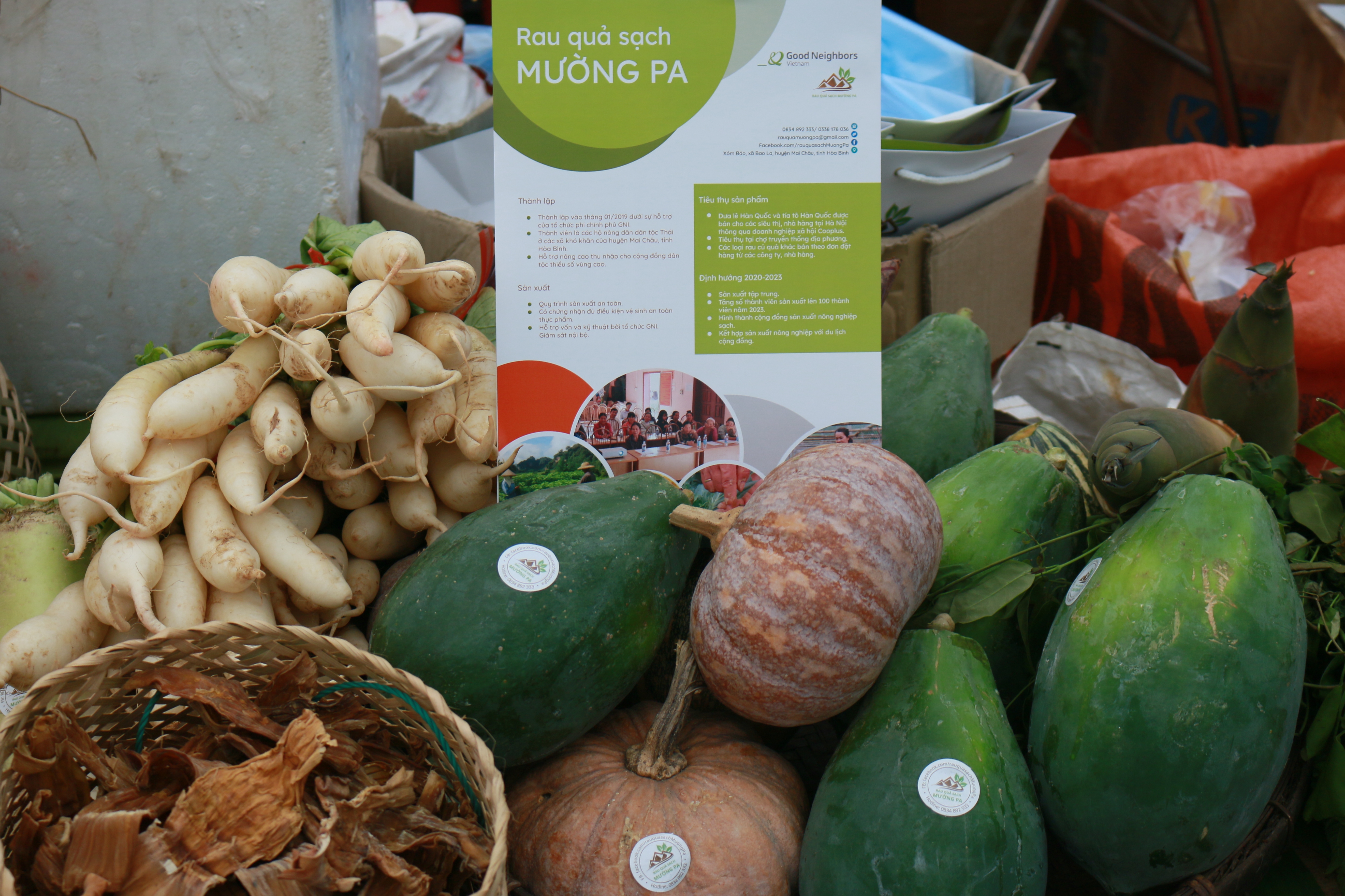 GNI giúp người dân Mường Pa (Hòa Bình) phát triển mô hình rau an toàn gni giup nguoi dan muong pa hoa binh phat trien mo hinh rau an toan