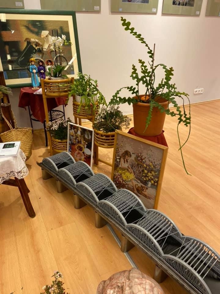 trien lam tranh anh ve viet nam tai hungary nhan ky niem 70 nam quan he huu nghi hai nuoc