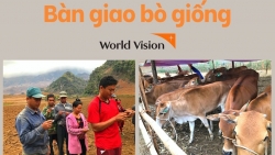 xay dung nong thon moi gan voi giam ngheo ben vung o huyen vung bien