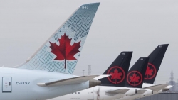 cong dan viet nam tai canada han che di lai giao tiep tranh covid 19