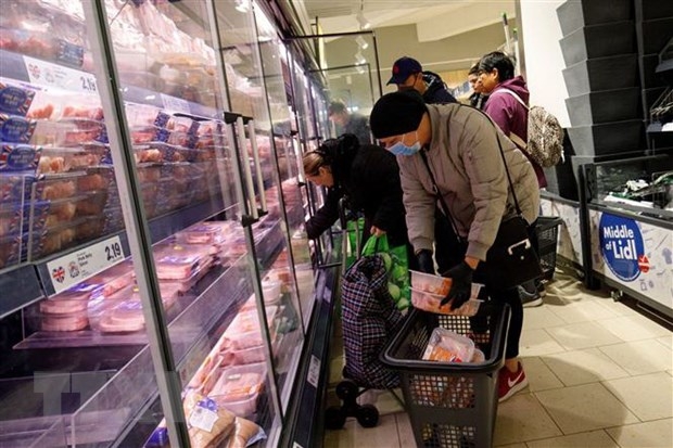 nguoi viet tai anh truoc covid 19 sau con mua troi lai sang