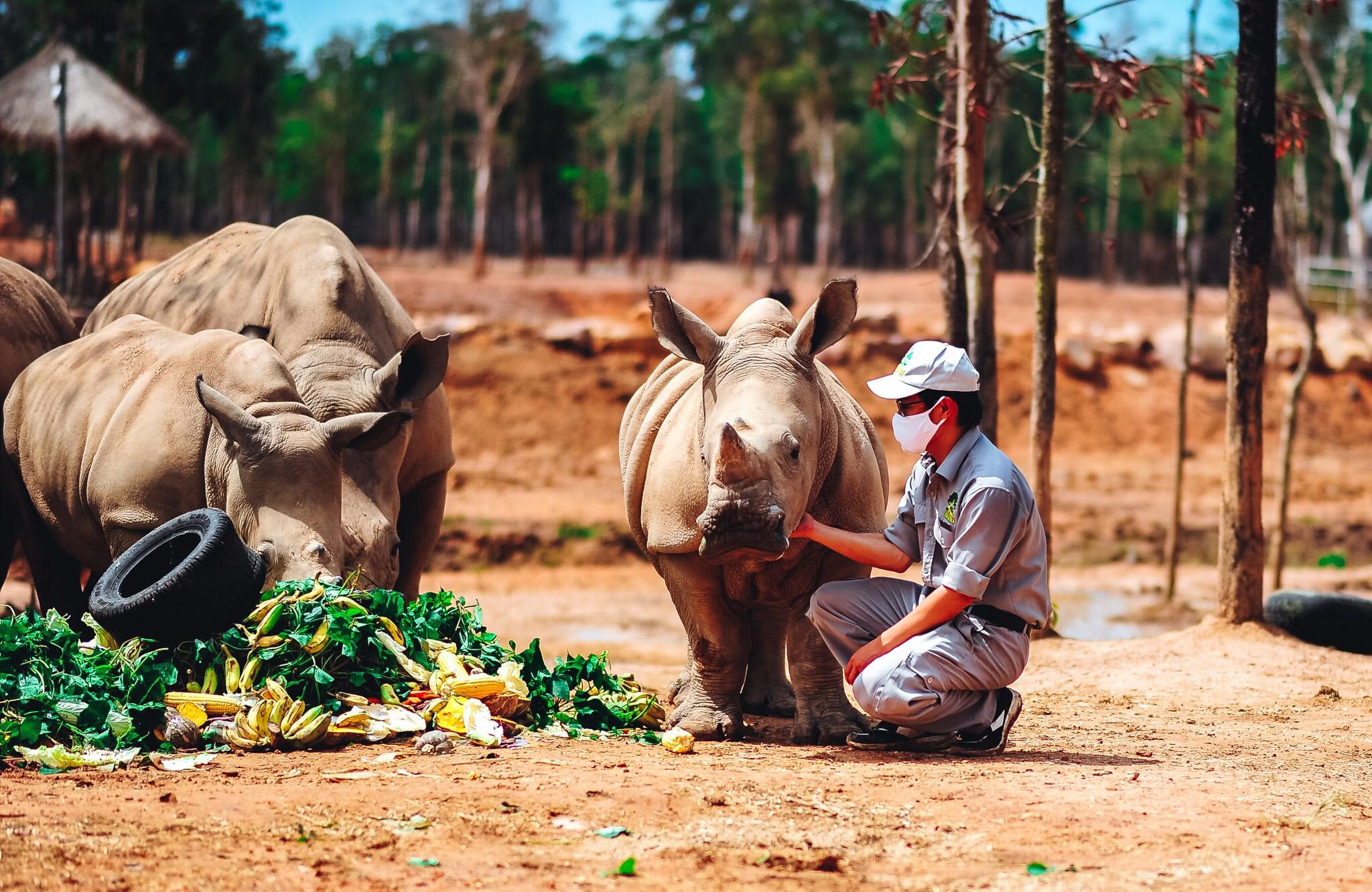 ron ra niem vui ngay chao don co be te giac thu 3 chao doi tai vinpearl safari phu quoc