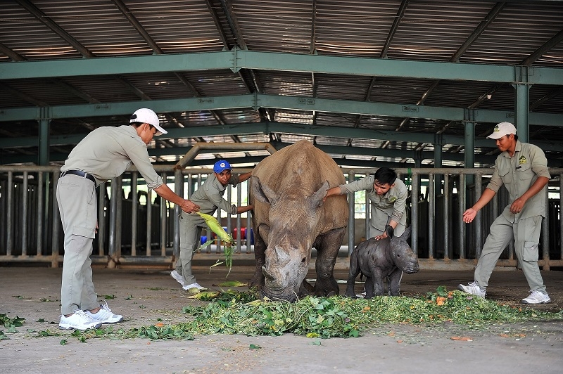 ron ra niem vui ngay chao don co be te giac thu 3 chao doi tai vinpearl safari phu quoc