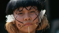 tho dan bo lac rung ram amazon qua doi do covid 19