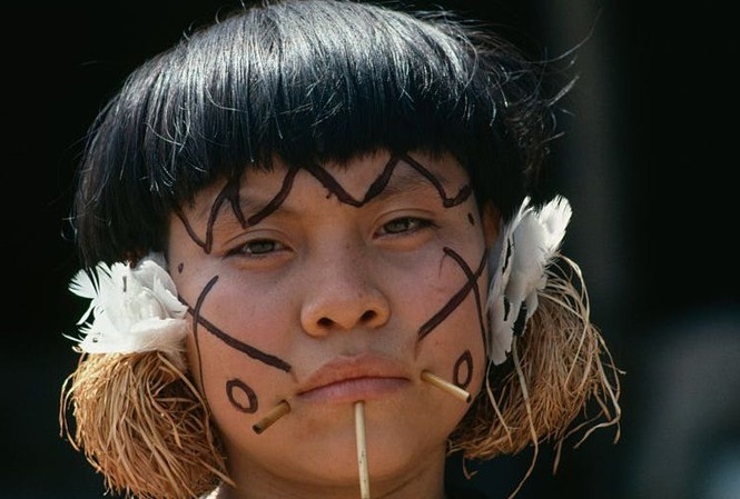 tho dan bo lac rung ram amazon qua doi do covid 19