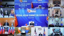 amaf cam ket dam bao an ninh luong thuc asean trong dai dich covid 19