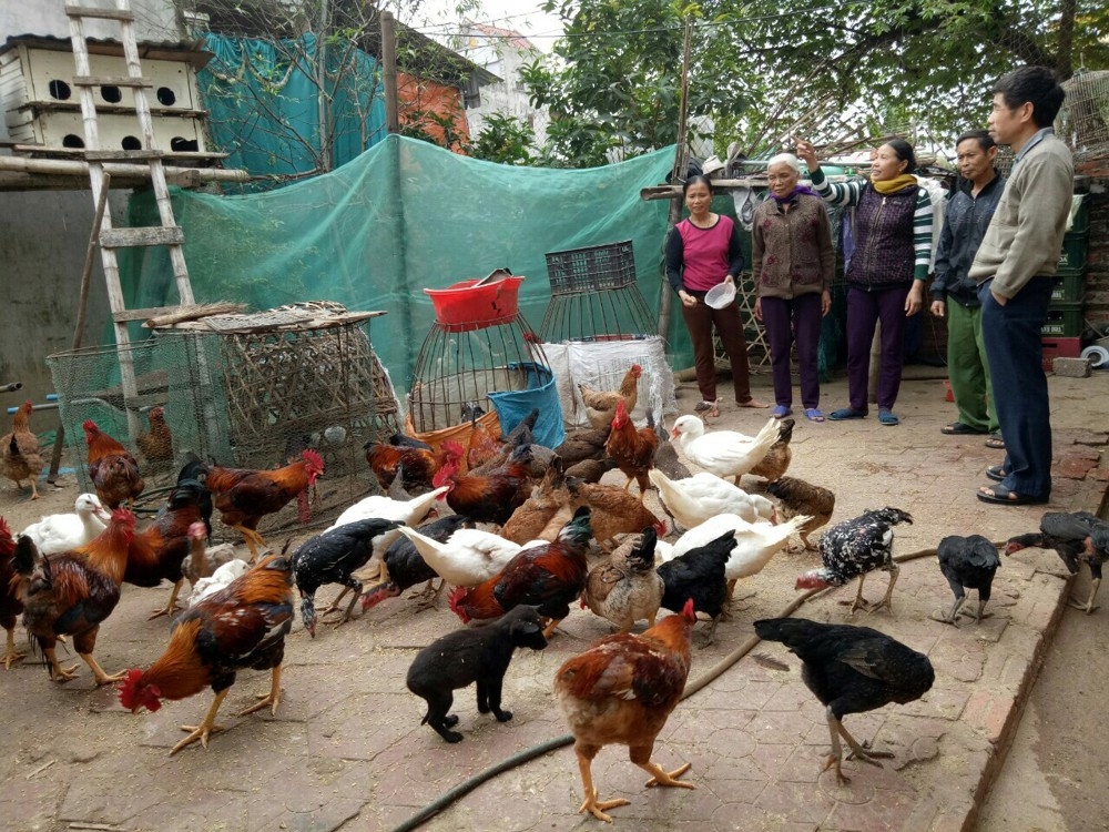 to chuc helpage international tai viet nam ho tro 80 trieu cho nguoi cao tuoi trong dich covid 19