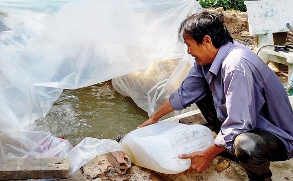 tinh trang man duy tri muc cao trong thang 4 tai cac tinh dong bang song cuu long