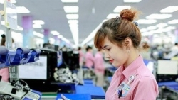 7 đối tượng sẽ được nghỉ việc không cần báo trước