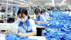 goi tong dai 111 de duoc giai dap ve goi ho tro 62000 ty
