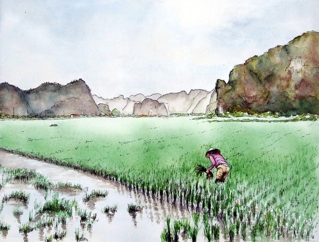 du khach phap gui thong diep suc khoe giua mua covid 19 qua 8 buc tranh ve viet nam