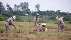 NPA-RENEW di dời và phá hủy 231 vật liệu nổ tại Quảng Trị