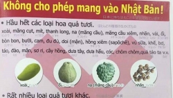 kinh nghiem nhap canh phap