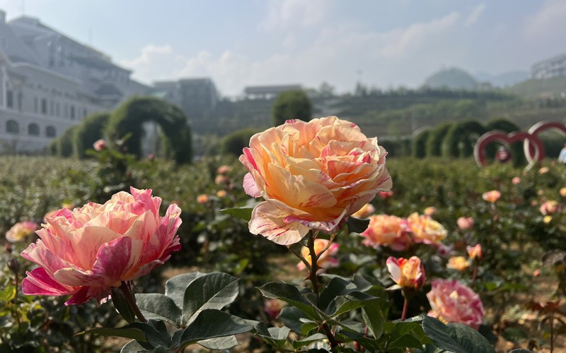 30/4-1/5 đi đâu chơi? Top 5 địa điểm vui chơi từ Bắc vào Nam