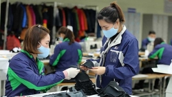 Người lao động sẽ được hưởng trợ cấp thất nghiệp bình quân tháng là 3,7 triệu đồng/ người