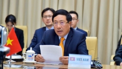 tai hoi dong bao an lien hop quoc viet nam dai dien e10 thao luan ve thu tuc va phuong phap lam viec