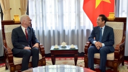 viet nam ireland tang cuong phoi hop ho tro nhau trong cong tac bao ho cong dan hau covid 19