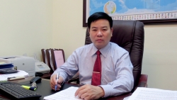 giam sat chat va nang che tai trong dau thau mua gao du tru quoc gia