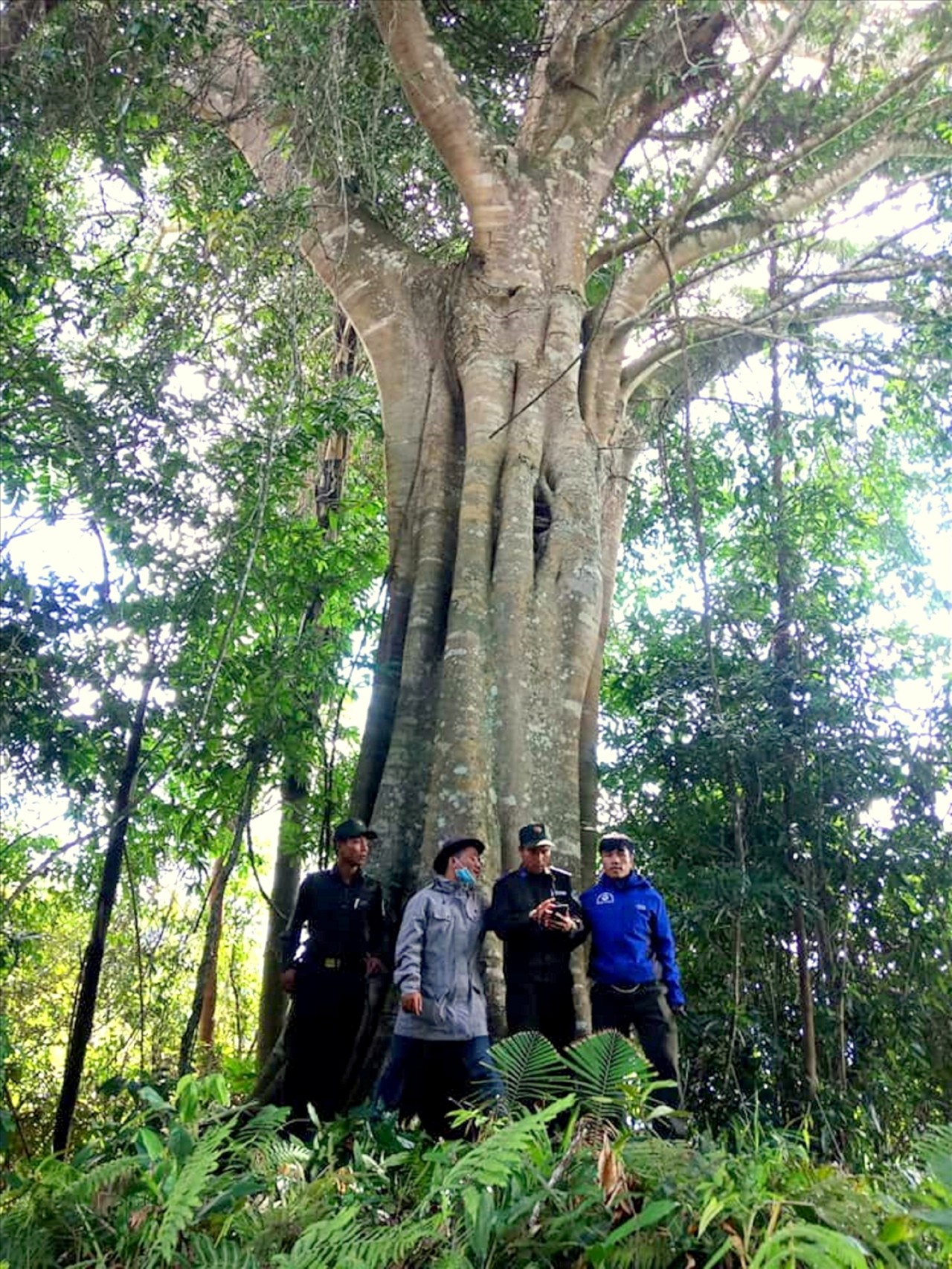 Người Cơ Tu làm du lịch từ những cánh rừng