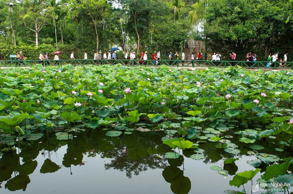 Nhà ông Phó bảng ở làng Sen - Nơi sáng ngời nhân cách gia đình Chủ tịch Hồ Chí Minh