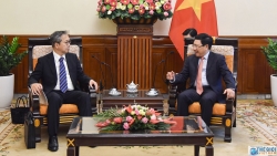 viet nam nhat ban tung buoc tai khoi dong viec di lai giua hai nuoc hau covid 19