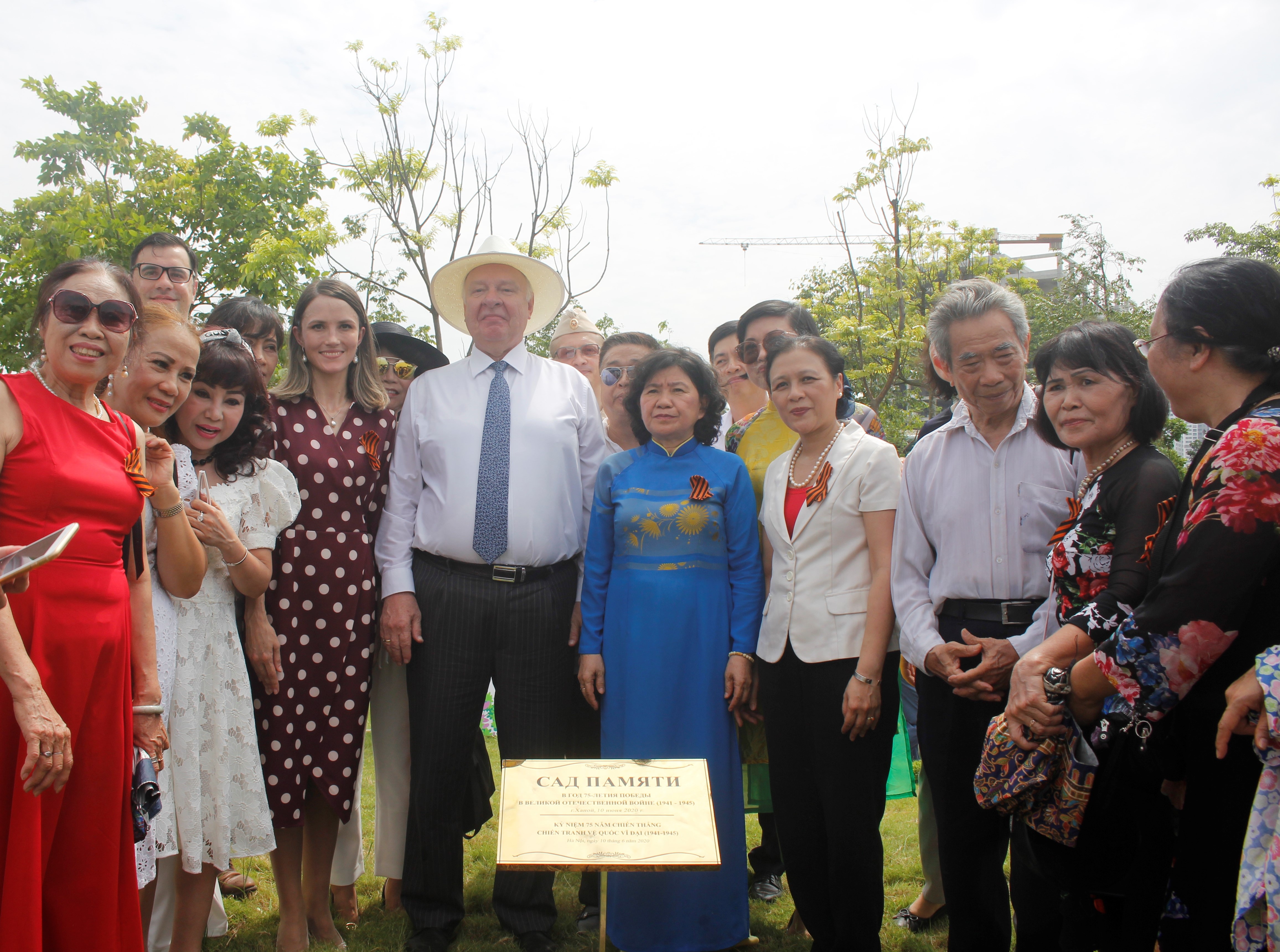 cay delonix hoang gia duoc chon trong nhan le trong cay tai khu vuon huu nghi cong vien hoa binh ha noi