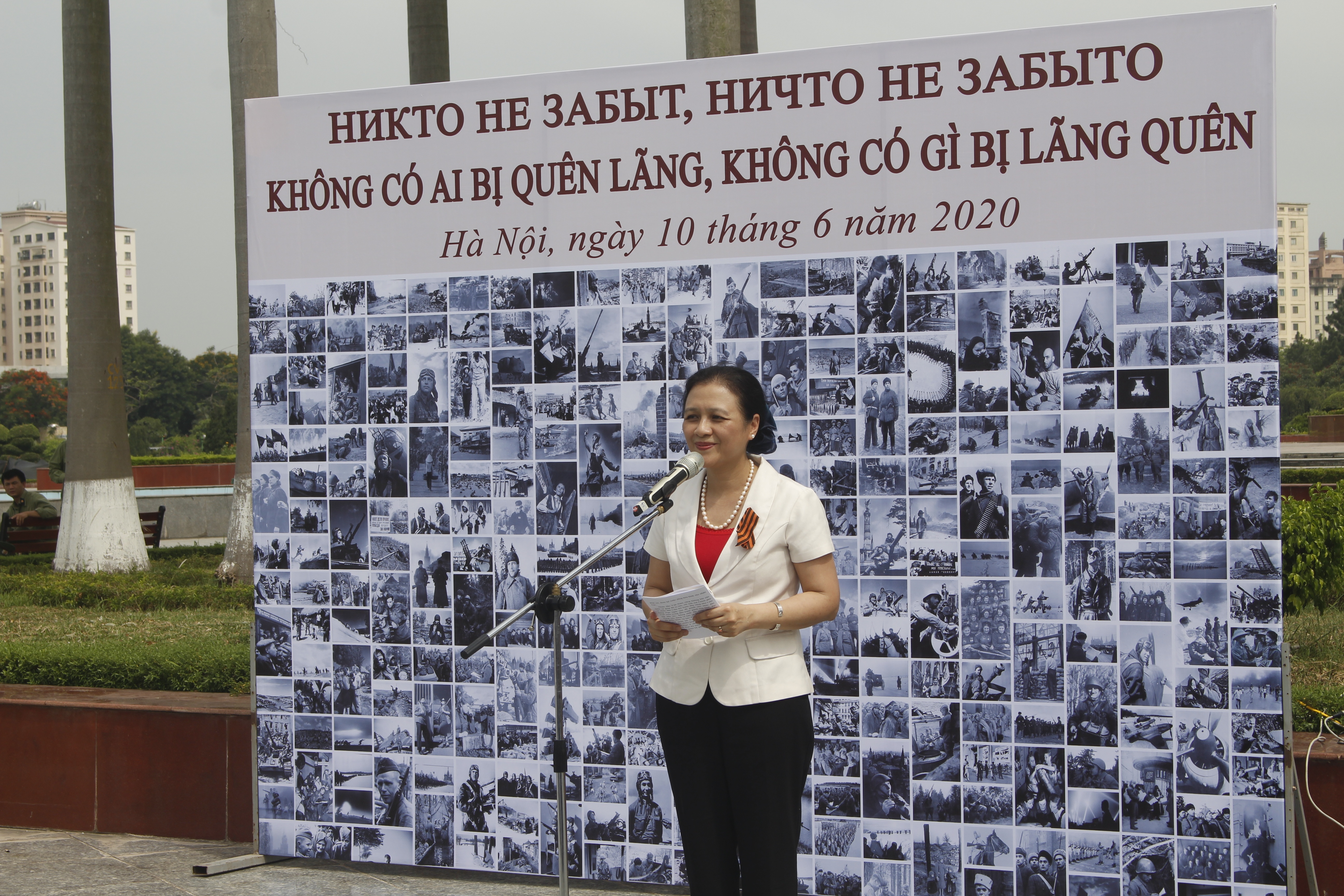 cay delonix hoang gia duoc chon trong nhan le trong cay tai khu vuon huu nghi cong vien hoa binh ha noi