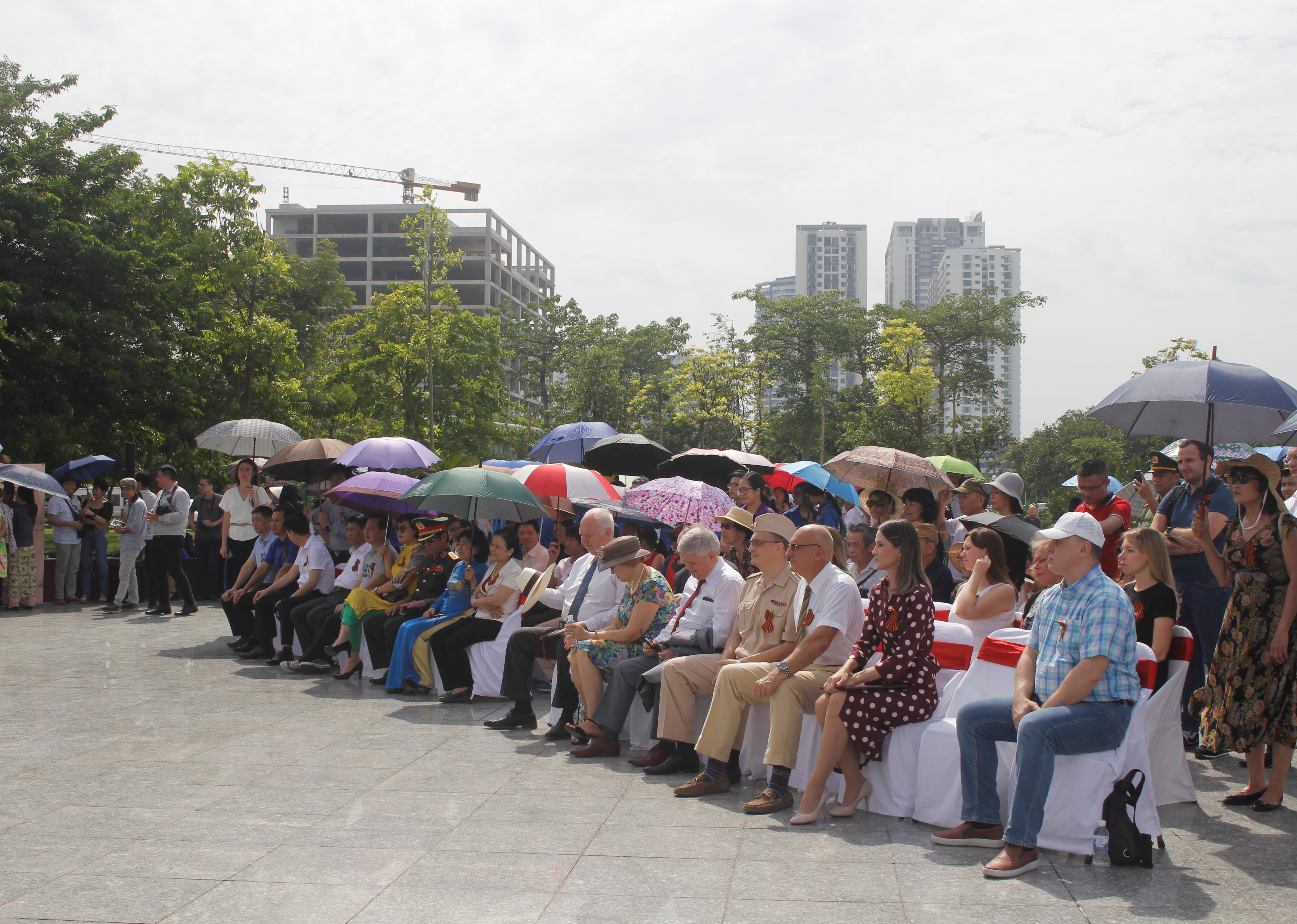 cay delonix hoang gia duoc chon trong nhan le trong cay tai khu vuon huu nghi cong vien hoa binh ha noi