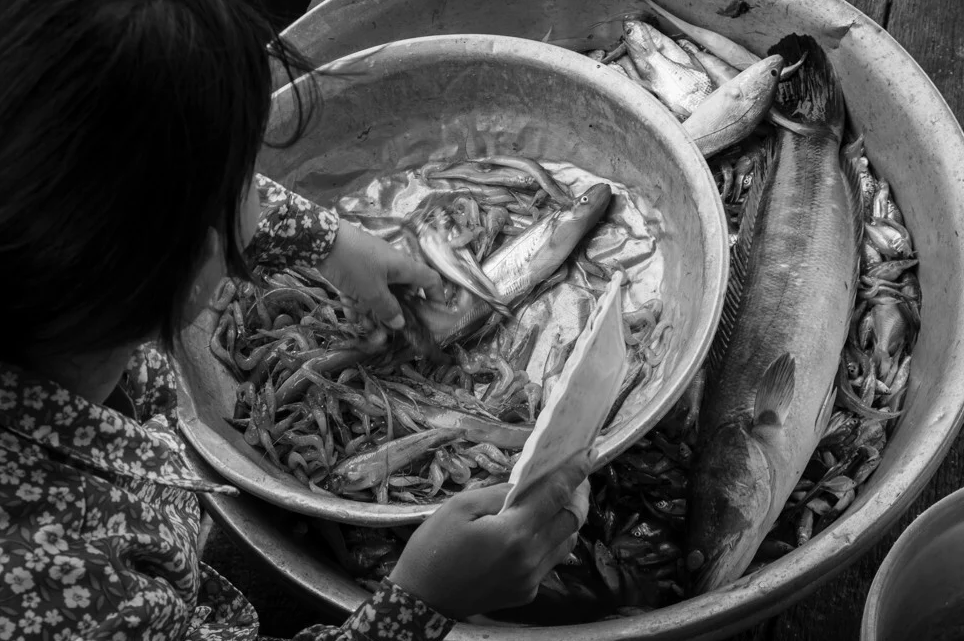 phong kham noi peam bang tai bien ho