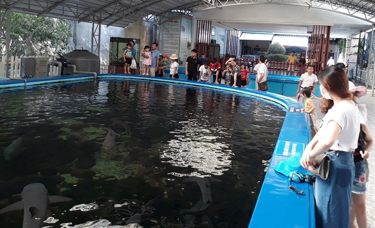 Khách tham quan Viện Hải dương học Nha Trang (Ảnh: Hải Luận) khach tham quan vien hai duong hoc nha trang anh hai luan