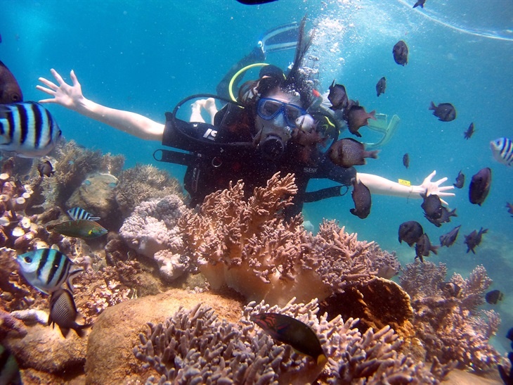 “Phi hành gia đại dương” tại vịnh San Hô, thành phố Nha Trang (Ảnh: Hải Luận) phi hanh gia dai duong tai vinh san ho thanh pho nha trang anh hai luan