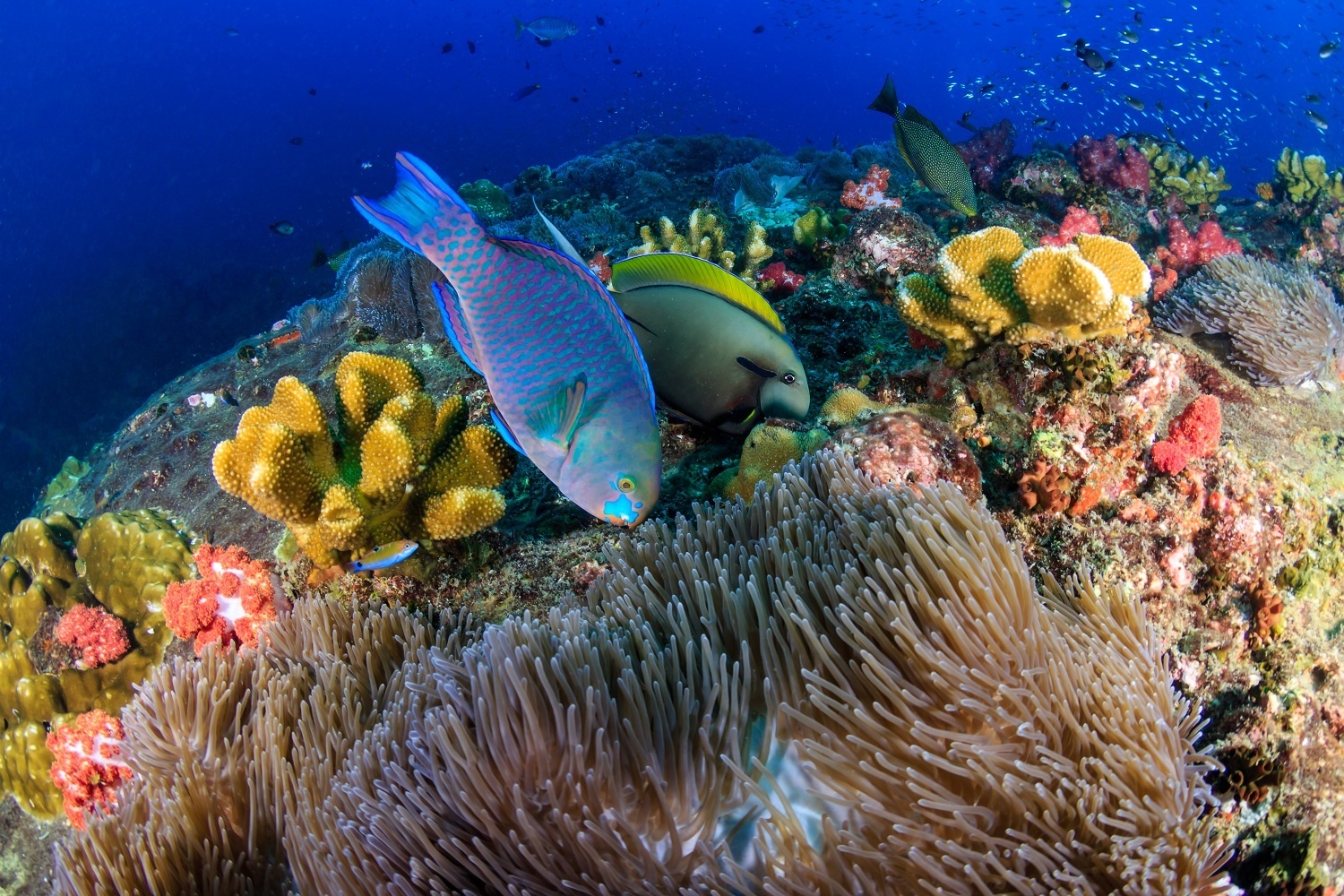 0754 shutterstock 1266791950 1592359224