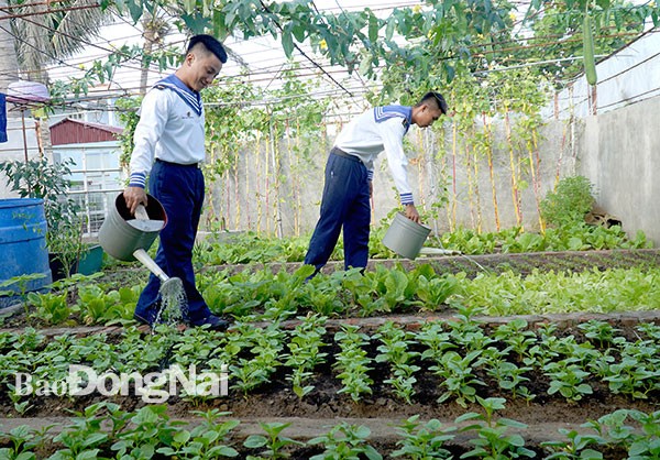 Nhịp sống ở huyện đảo Trường Sa Nhịp sống ở huyện đảo Trường Sa