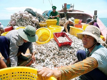 Mỹ tăng cường hợp tác với Việt Nam chống đánh bắt cá trái phép