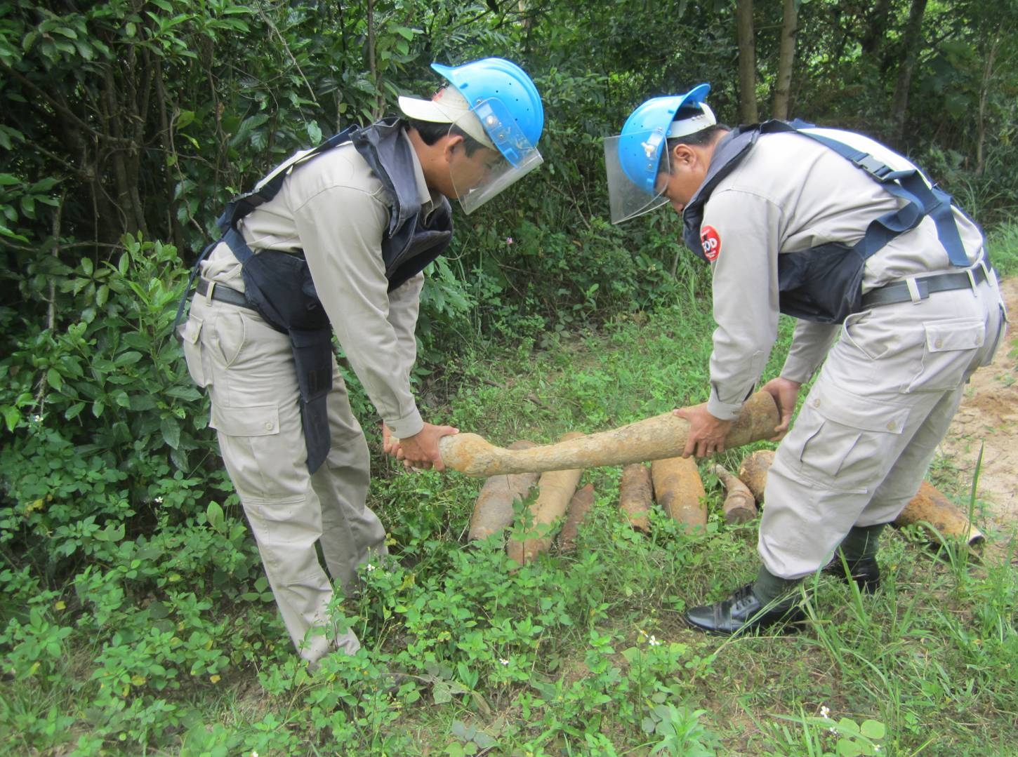 nhan vien cua to chuc peace trees viet nam dang di doi vat lieu no anh peace trees viet nam
