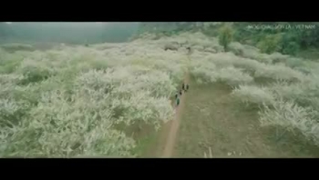 Cao nguyên Mộc Châu khi mùa đông đến