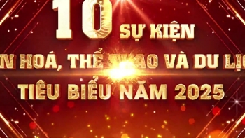 video 10 su kien van hoa the thao va du lich tieu bieu nam 2025