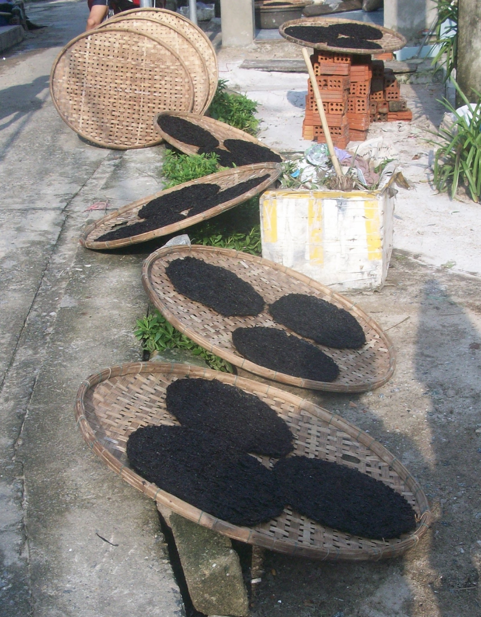 loc troi ngay giap tet