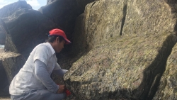 'Lộc trời' ngày giáp Tết