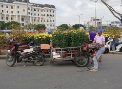 Xe ôm, ba gác đắt hàng làm shipper chuyển cây cảnh Tết kiếm tiền triệu mỗi ngày